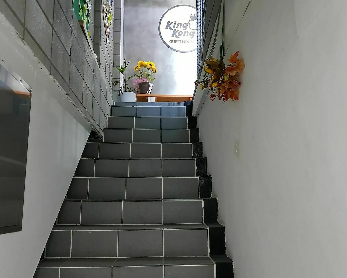 Guest house Kingkong Guesthouse Busan